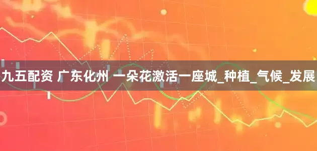 九五配资 广东化州 一朵花激活一座城_种植_气候_发展