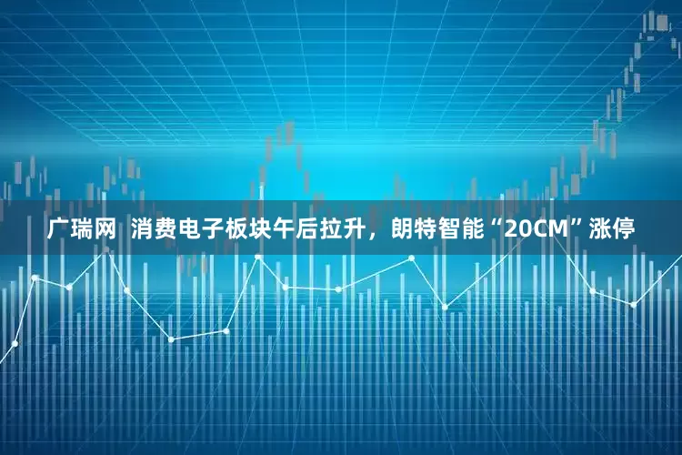 广瑞网  消费电子板块午后拉升，朗特智能“20CM”涨停