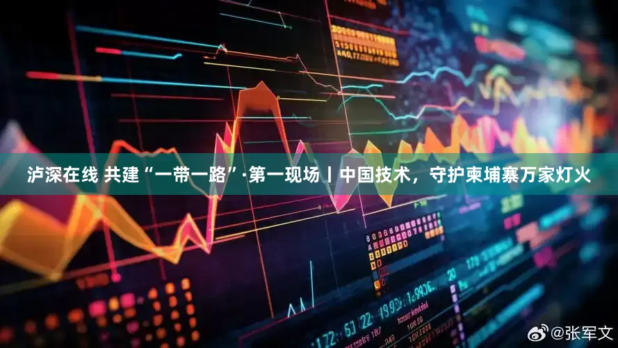 泸深在线 共建“一带一路”·第一现场丨中国技术，守护柬埔寨万家灯火