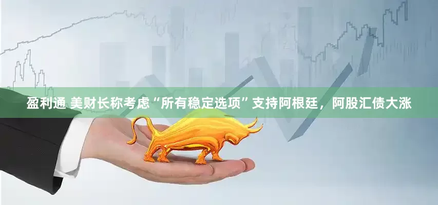 盈利通 美财长称考虑“所有稳定选项”支持阿根廷，阿股汇债大涨