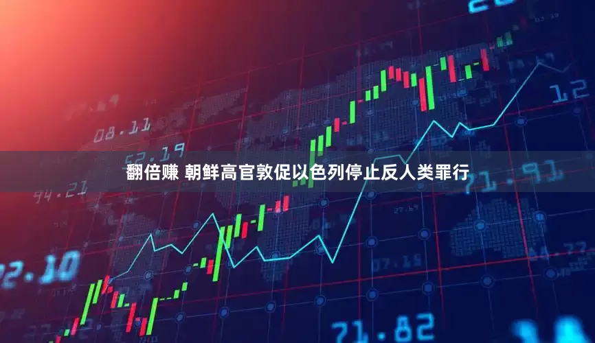翻倍赚 朝鲜高官敦促以色列停止反人类罪行