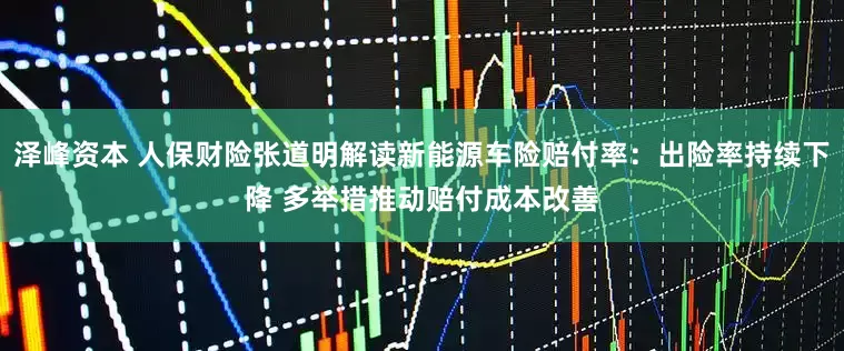 泽峰资本 人保财险张道明解读新能源车险赔付率：出险率持续下降 多举措推动赔付成本改善